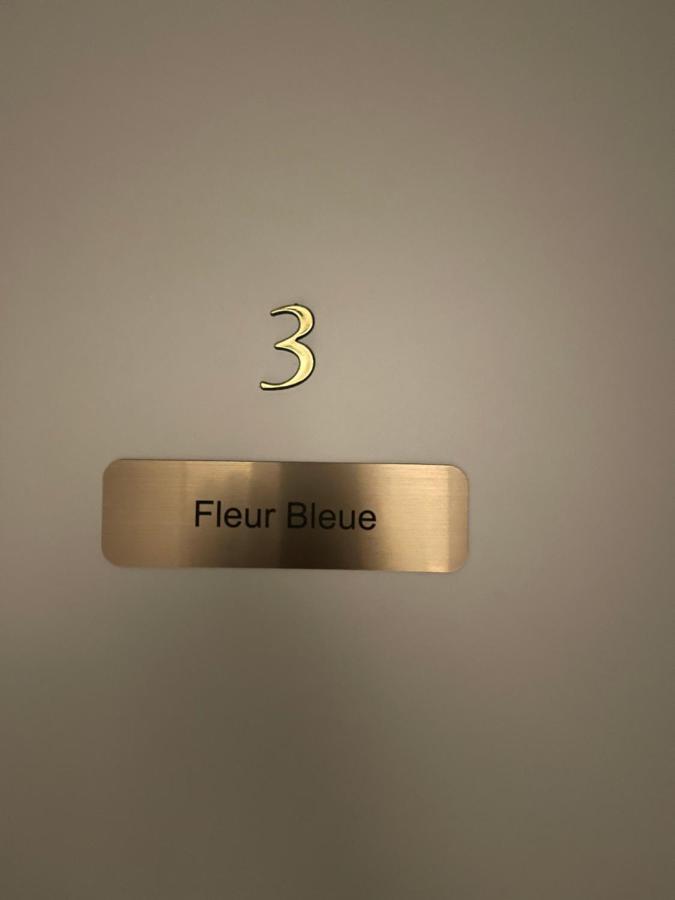 Gites De La Bonne Etoile Geispolsheim Eksteriør billede